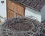 Capi_Dubne_20260825_134005.jpg