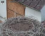 Capi_Dubne_20260825_143003.jpg
