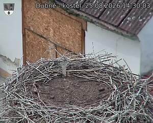 Capi_Dubne_20260825_143003.jpg (1350&nbsp;x&nbsp;1080)
