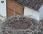 Capi_Dubne_20260825_144004.jpg