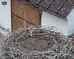 Capi_Dubne_20260825_153504.jpg