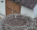 Capi_Dubne_20260825_160504.jpg