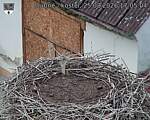 Capi_Dubne_20260825_170504.jpg