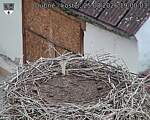 Capi_Dubne_20260825_190003.jpg