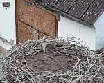 Capi_Dubne_20260825_192503.jpg