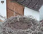 Capi_Dubne_20260825_194502.jpg