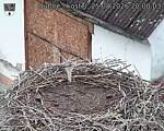 Capi_Dubne_20260825_200003.jpg