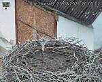Capi_Dubne_20260825_200502.jpg