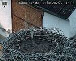 Capi_Dubne_20260825_201503.jpg
