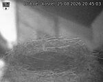 Capi_Dubne_20260825_204503.jpg