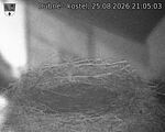 Capi_Dubne_20260825_210503.jpg
