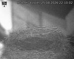 Capi_Dubne_20260825_221002.jpg