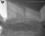 Capi_Dubne_20260825_221502.jpg