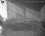Capi_Dubne_20260825_222002.jpg