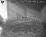 Capi_Dubne_20260825_222503.jpg