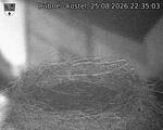 Capi_Dubne_20260825_223503.jpg