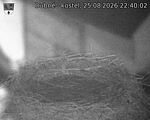 Capi_Dubne_20260825_224002.jpg