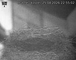 Capi_Dubne_20260825_225502.jpg