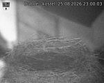 Capi_Dubne_20260825_230003.jpg