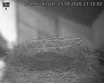 Capi_Dubne_20260825_231002.jpg