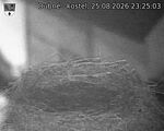 Capi_Dubne_20260825_232503.jpg