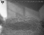 Capi_Dubne_20260825_233503.jpg