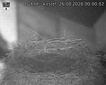 Capi_Dubne_20260826_000002.jpg