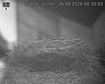 Capi_Dubne_20260826_003002.jpg