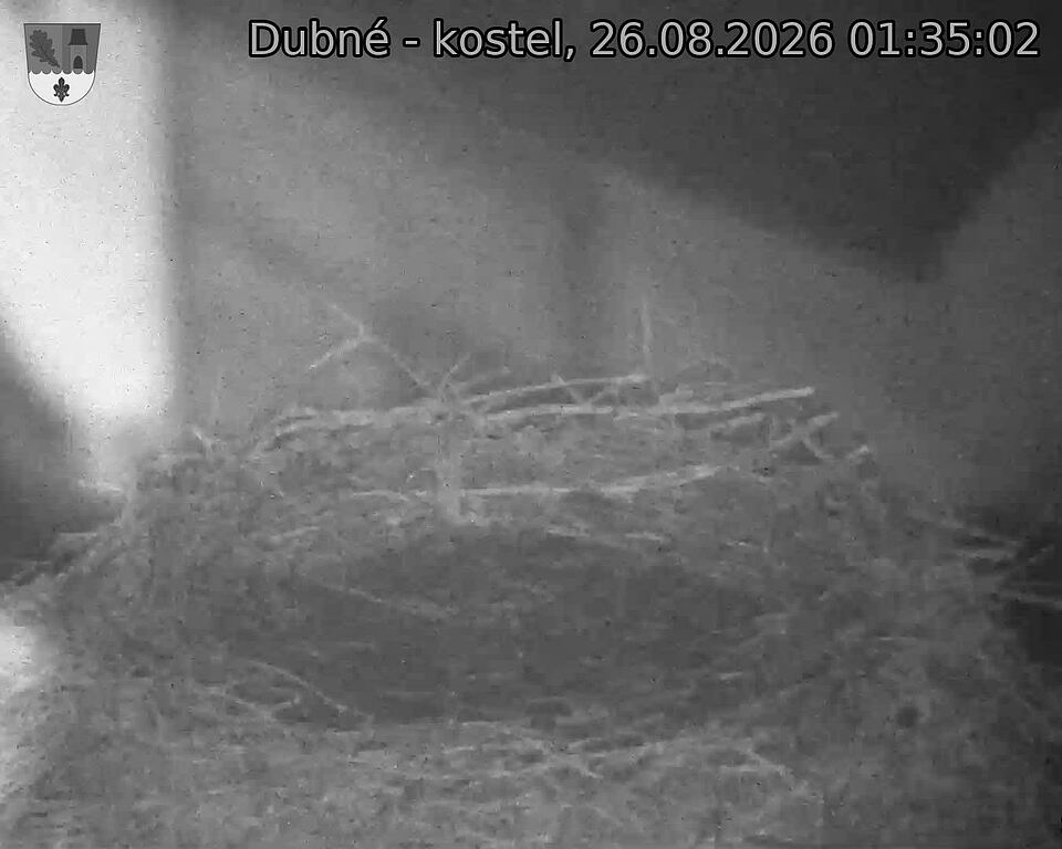 preload