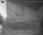Capi_Dubne_20260826_015002.jpg
