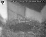 Capi_Dubne_20260826_054003.jpg