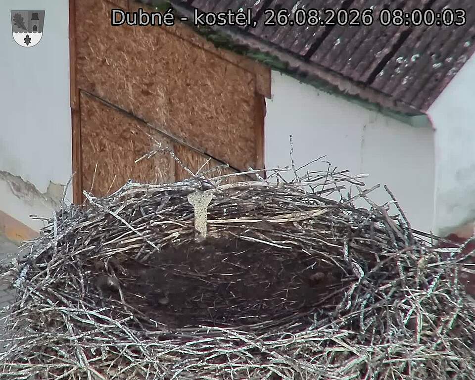 preload