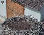 Capi_Dubne_20260826_121003.jpg