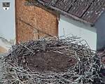Capi_Dubne_20260826_122003.jpg