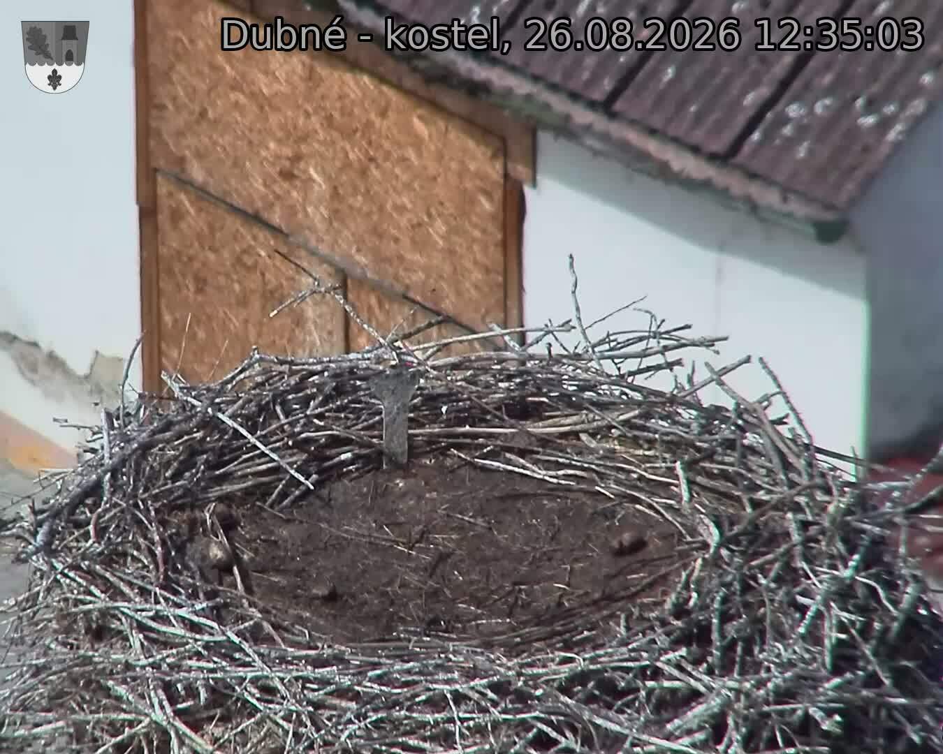 Capi_Dubne_20260826_123503.jpg (1350&nbsp;x&nbsp;1080)
