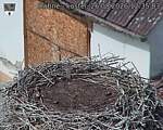 Capi_Dubne_20260826_123503.jpg