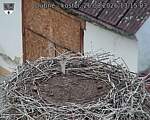 Capi_Dubne_20260826_131503.jpg