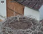 Capi_Dubne_20260826_132003.jpg