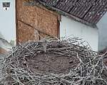 Capi_Dubne_20260826_134504.jpg