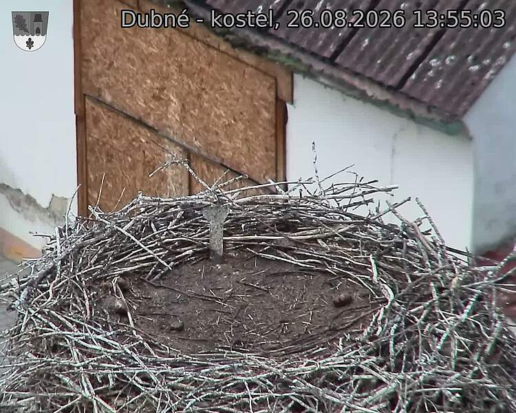 preload