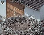 Capi_Dubne_20260826_152003.jpg
