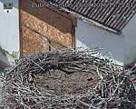 Capi_Dubne_20260826_152503.jpg