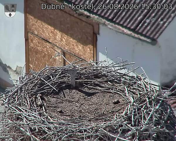 Capi_Dubne_20260826_153003.jpg (1350&nbsp;x&nbsp;1080)