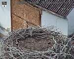 Capi_Dubne_20260826_155003.jpg