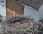 Capi_Dubne_20260826_155503.jpg