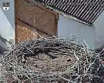 Capi_Dubne_20260826_160503.jpg