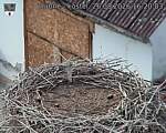 Capi_Dubne_20260826_162003.jpg