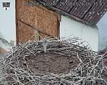 Capi_Dubne_20260826_163503.jpg