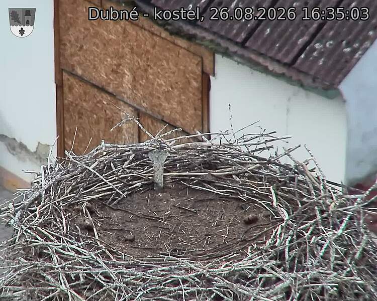 preload