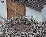 Capi_Dubne_20260826_165003.jpg